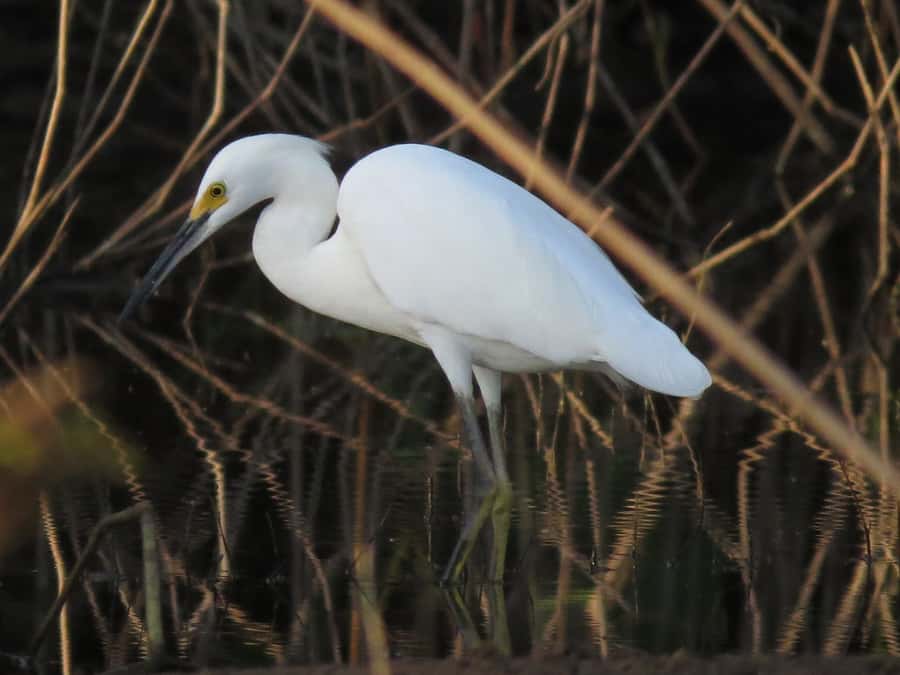Puerto Maldonado: 4-Day Tambopata Rainforest Tour - Who Will Love This Tour?