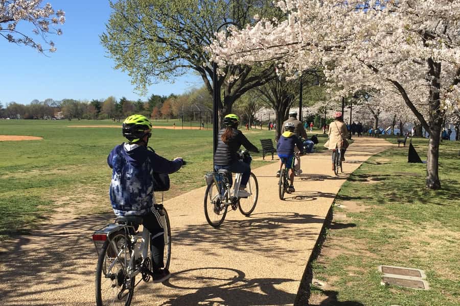 Washington DC: Cherry Blossom Festival Tour by Bike - Key Points