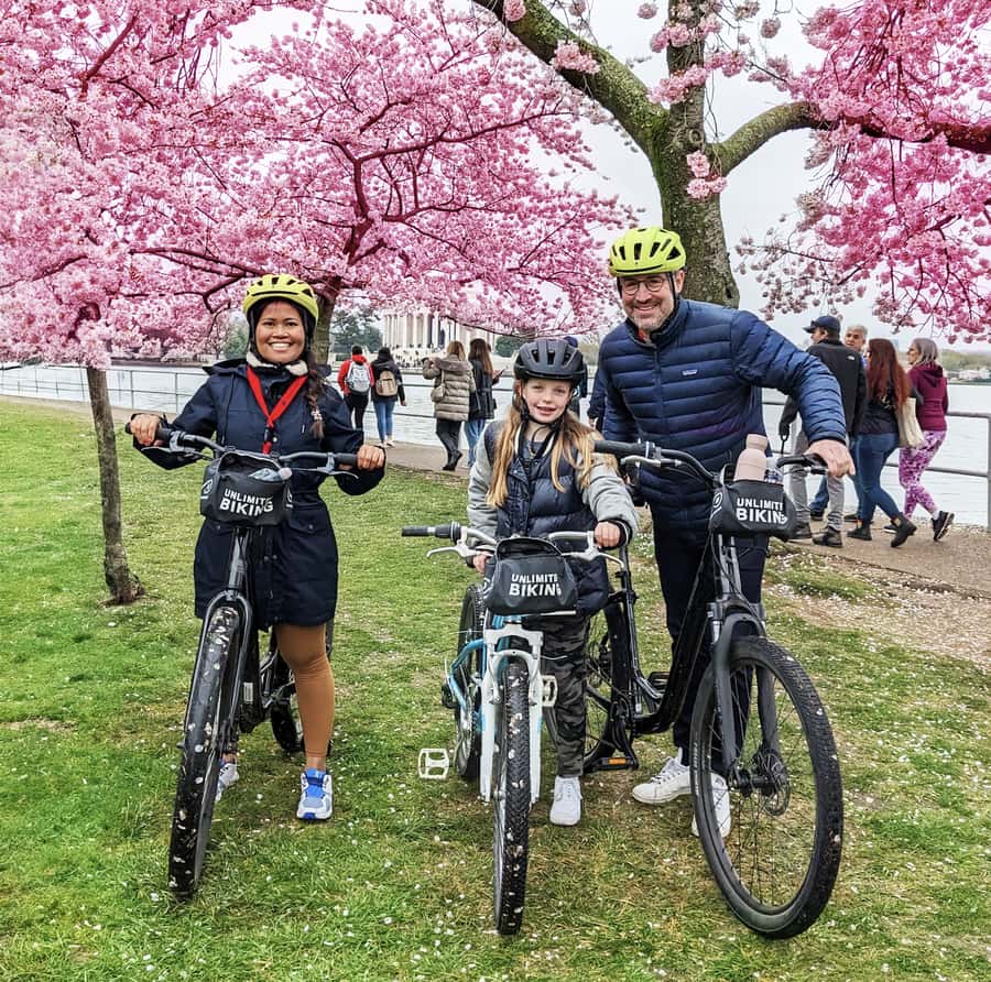 Washington DC: Cherry Blossom Festival Tour by Bike - A Detailed Look at the Experience