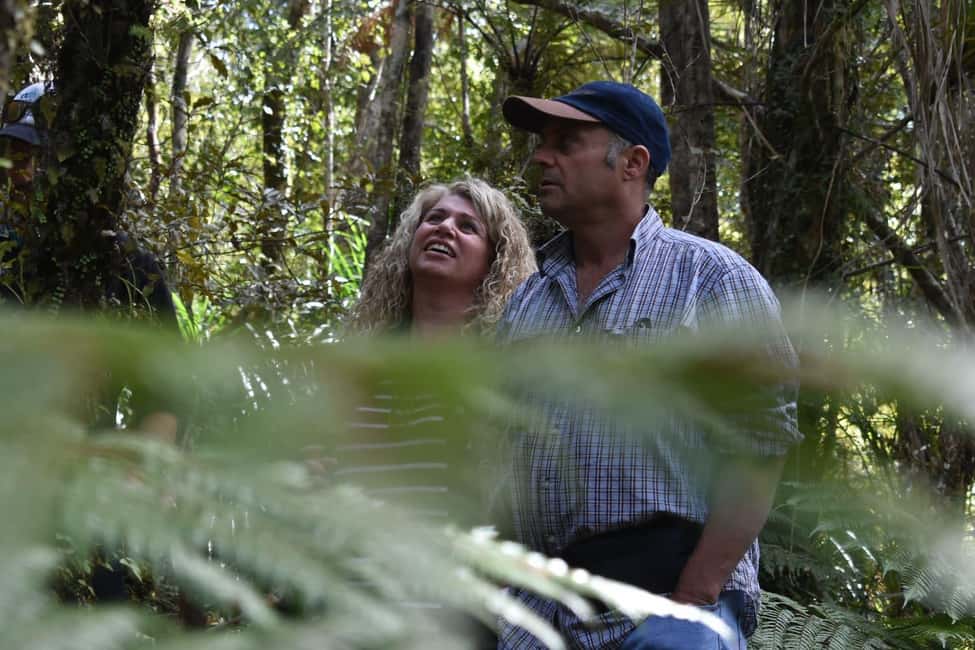 Franz Josef Glacier: 2.5-Hour Lake Mapourika Cruise and Walk - Private Rainforest Walk into the Okarito Kiwi Sanctuary