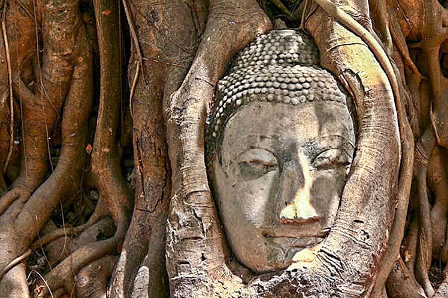 From Bangkok: Tour Ayutthaya + Lunch + Spanish guide - FAQ