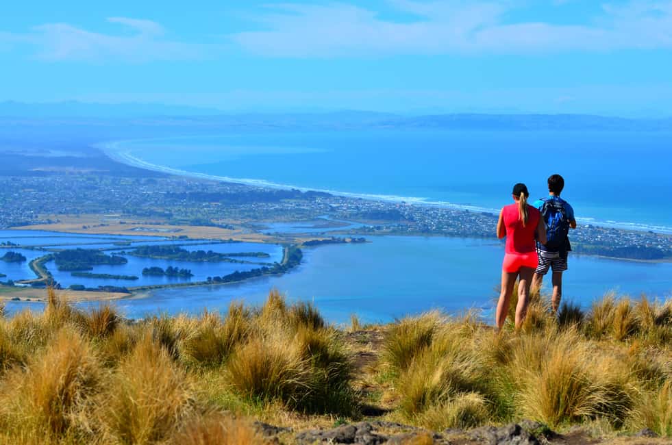 Christchurch: Full or Half-Day Rock Climbing Tour with Guide - The Value of This Experience