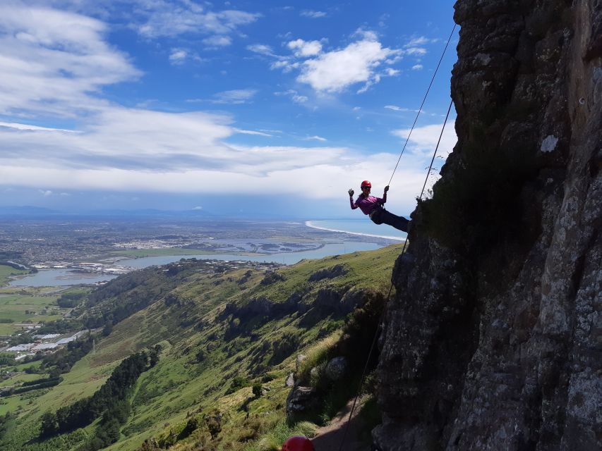 Christchurch: Full or Half-Day Rock Climbing Tour with Guide - Who Should Book This Tour?