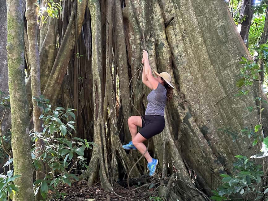 Vermont Nature Trail and Bird Watching Tour - The Vermont Nature Trail: Tropical Flora and Birdsong