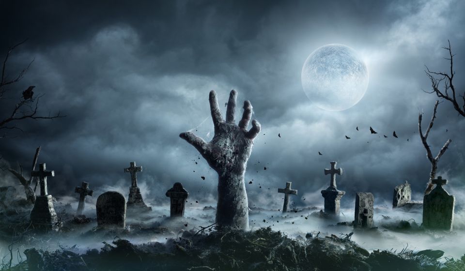 New Orleans: Night Cemetery and Ghost BYOB Bus Tour - Authentic Perspectives from Reviewers