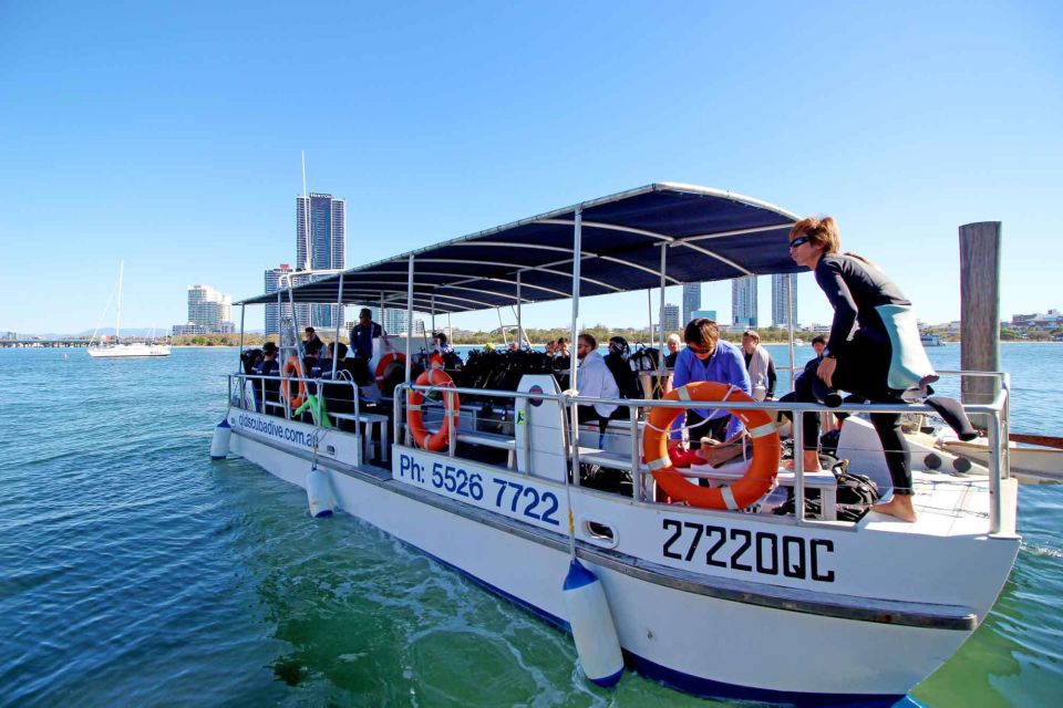 Gold Coast: Snorkelling in Wave Break Island - The Experience’s Highlights and Real Guest Feedback