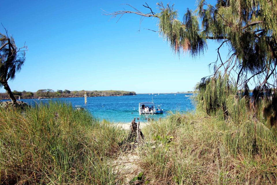 Gold Coast: 3-Day PADI Open Water Course - Authentic Experiences: What Tourists Say