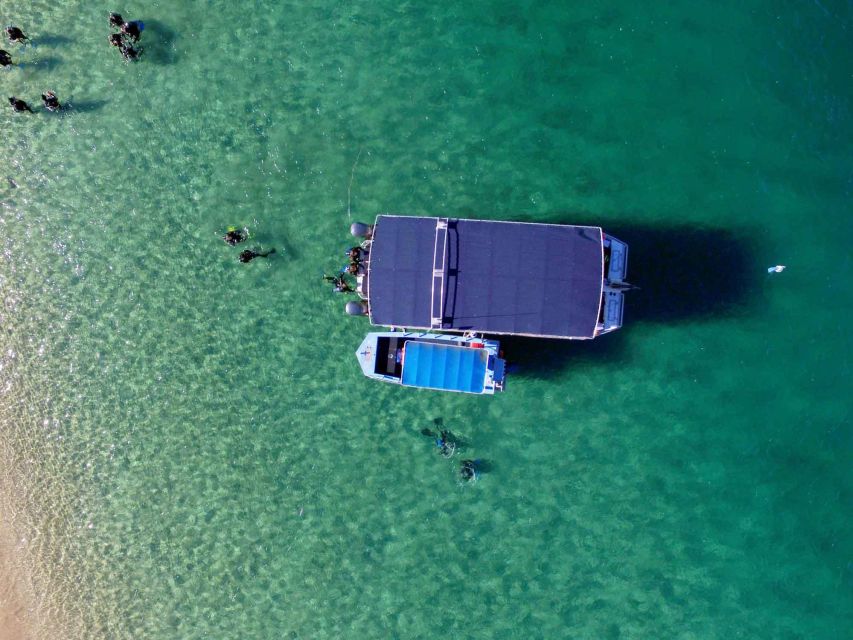 Gold Coast: 3-Day PADI Open Water Course - Gold Coast: 3-Day PADI Open Water Course — A Deep Dive into Learning and Adventure