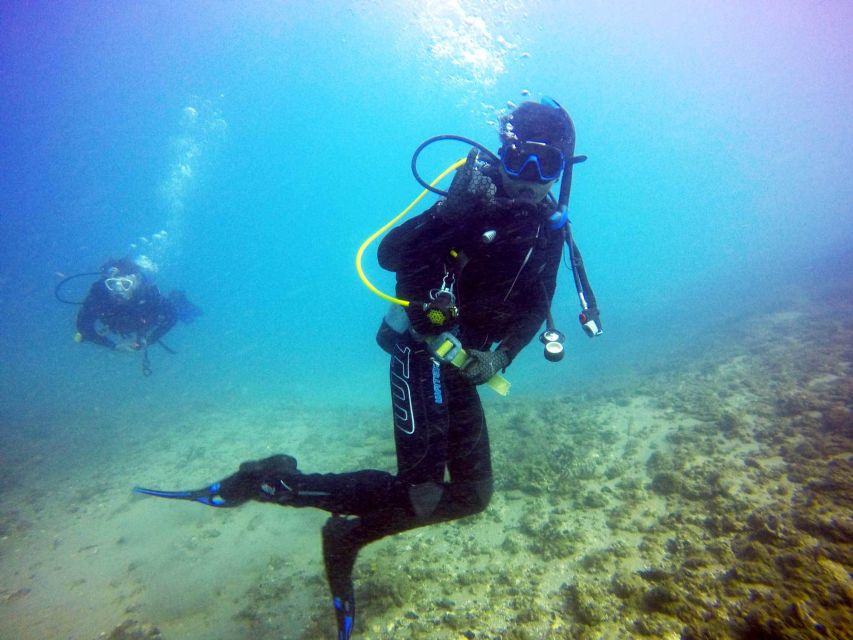 Gold Coast: 3-Day PADI Open Water Course - Final Thoughts