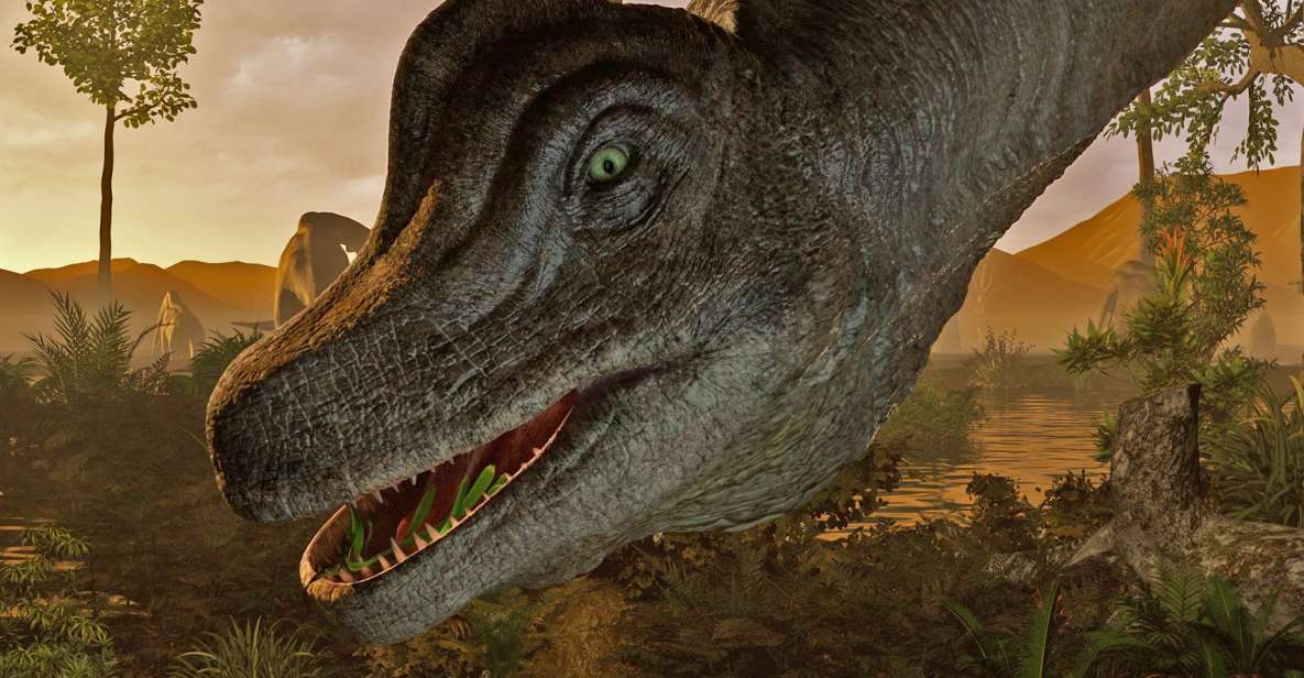 Queenstown: Hidden Underwater Theatre Experience - Comparing to Other Queenstown Experiences