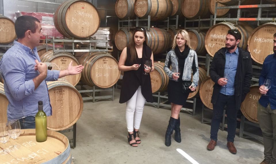 McLaren Vale: Small Group Wine Tour (Includes Lunch) - A Journey Through McLaren Vale: Small Group Wine Tour (Includes Lunch)