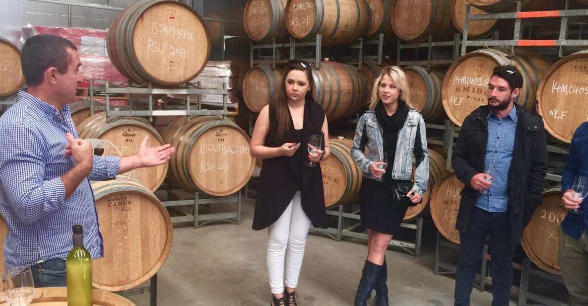 McLaren Vale: Small Group Wine Tour (Includes Lunch) - What the Day Looks Like