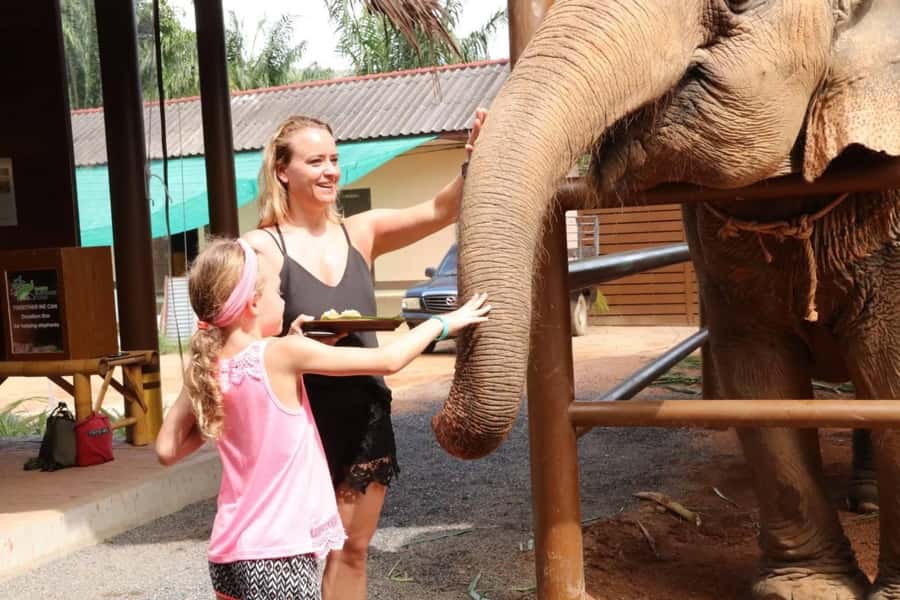 Samui: Feeding Program at the Elephant Home Nursery - Value and Cost
