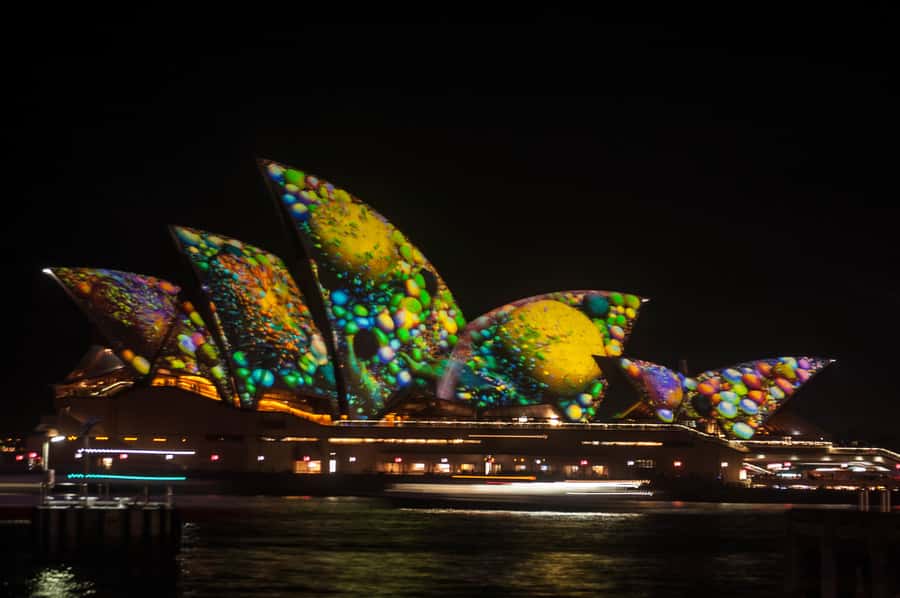 Sydney: Vivid Festival of Light Harbor Cruise with Dinner - The Itinerary and What to Expect