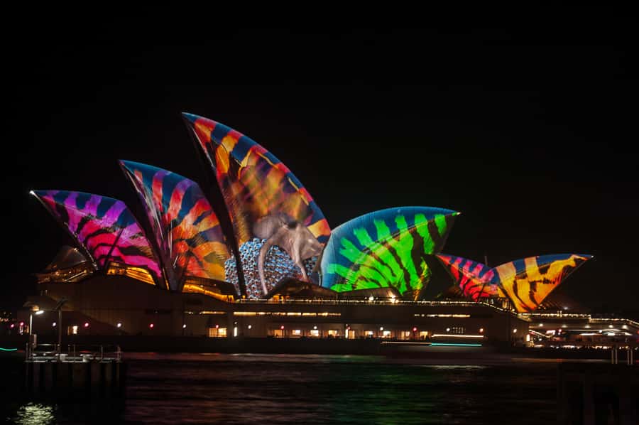 Sydney: Vivid Festival of Light Harbor Cruise with Dinner - An Introduction to the Vivid Harbor Cruise Experience