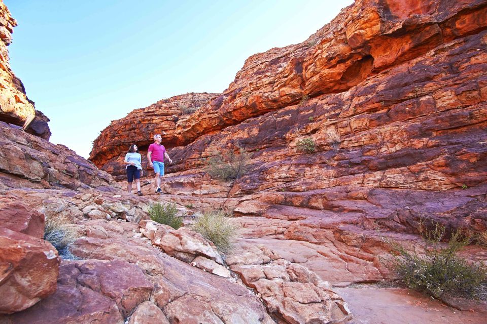 Kings Canyon: Full-Day Tour from Ayers Rock Resort - An In-Depth Look at the Kings Canyon Tour Experience