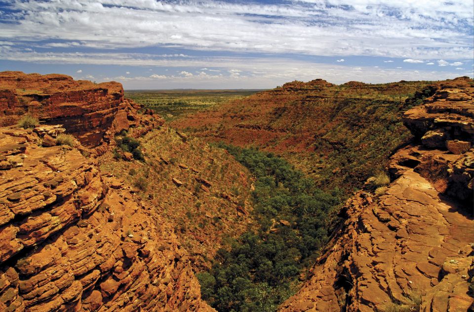 Kings Canyon: Full-Day Tour from Ayers Rock Resort - Why This Tour Stands Out