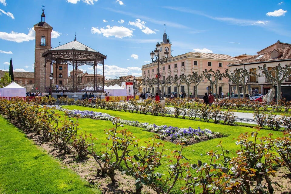 From Madrid: Alcalá de Henares, Winery Tour & Wine Tasting - Why the Guides Matter