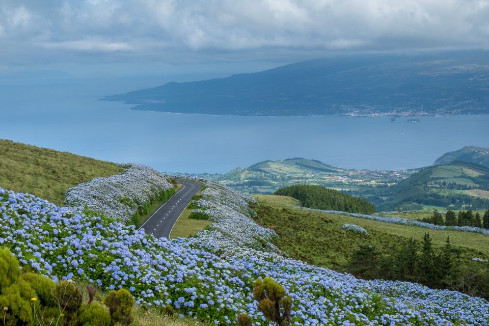 From Horta: Guided Faial Island Tour - Why You’ll Love This Tour
