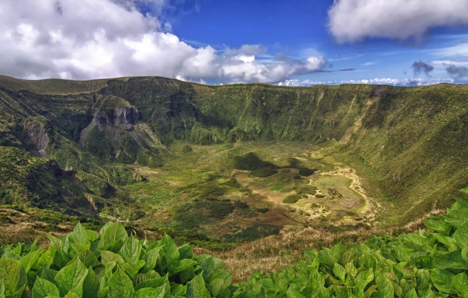 From Horta: Guided Faial Island Tour - FAQ