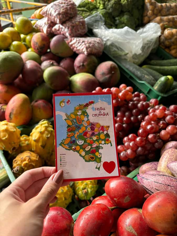 Medellin: Santa Fe de Antioquia Day Trip - Who Should Consider This Tour?