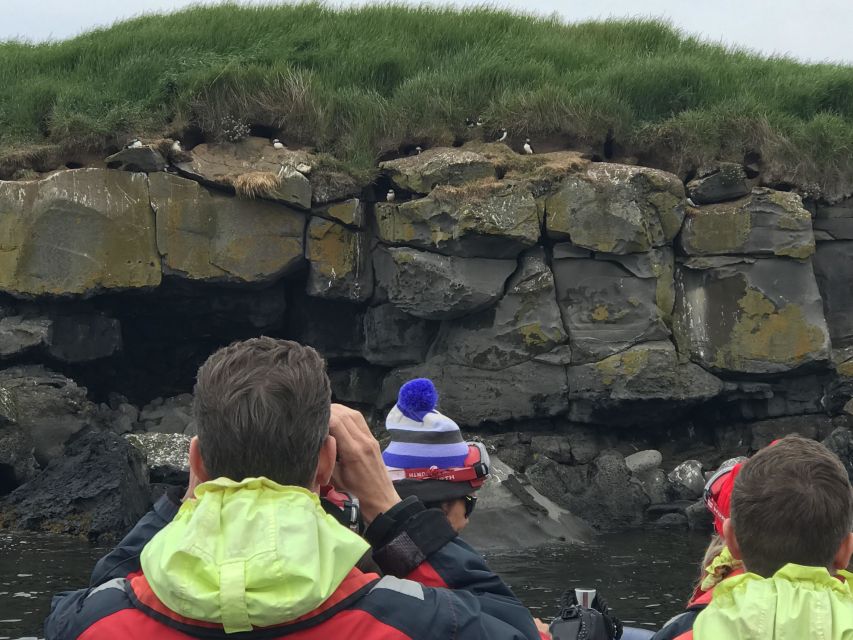 Reykjavík: RIB Speed-Boat Puffin Watching Tour - Price and Value
