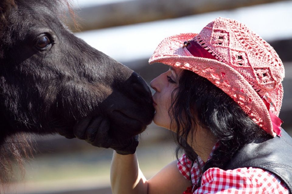 From Krakow: One Day in the Countryside - Final Thoughts