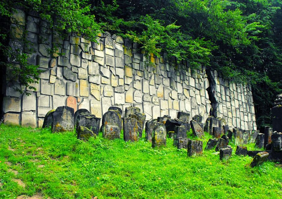 From Warsaw: Kazimierz Dolny Day Tour with Lunch - Key Points