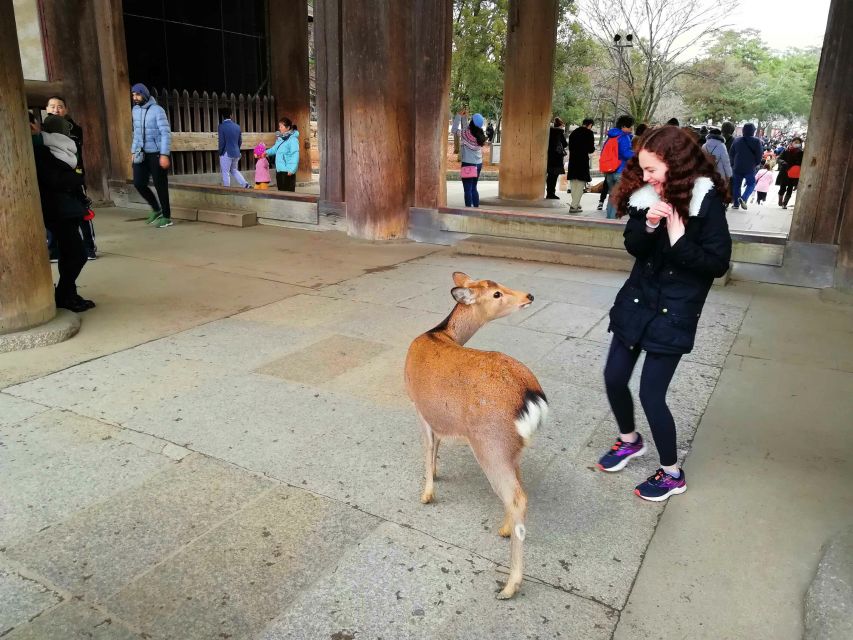 Nara: Nara Park Private Family Bike Tour with Lunch - Who Will Enjoy This Tour?