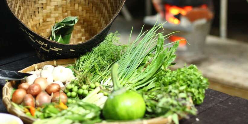 Luang Prabang: Bamboo Experience & Kuang Si Falls Tour - Who Is This Tour For?