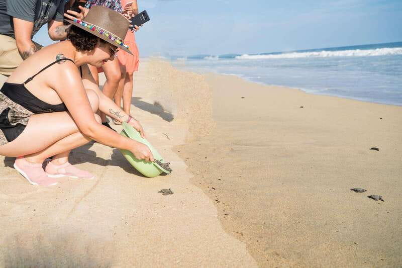 Puerto Escondido: Turtle Release Experience - A Closer Look at the Itinerary