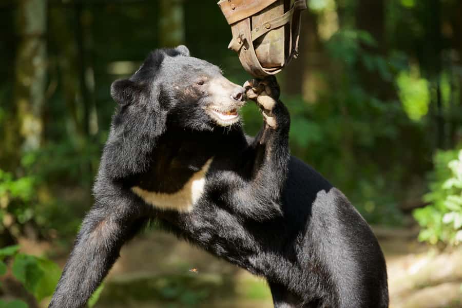 Luang Prabang: 2-Day Explorer Tour - Pricing and Value