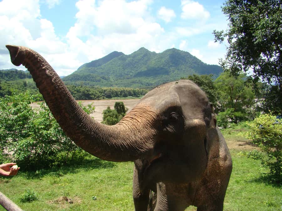 Luang Prabang: 2-Day Explorer Tour - Introduction: A Well-Rounded Look at Luang Prabang’s 2-Day Explorer Tour