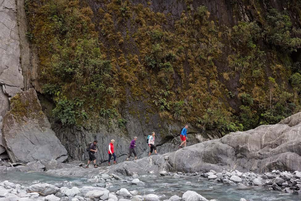 Franz Josef: Franz Josef Glacier Lookout Guided Walk - Authentic Reviews and Perspectives