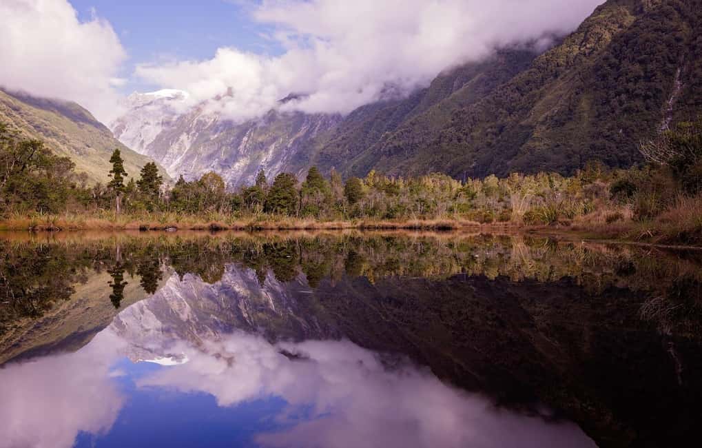 Franz Josef: Franz Josef Glacier Lookout Guided Walk - Detailed Breakdown of the Experience