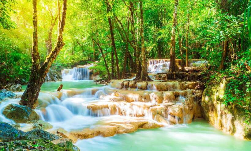 Luang Prabang: Rice Farm and Kuang Si Waterfall Tour - Inclusions