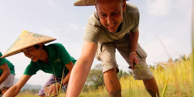 Luang Prabang: Rice Farm and Kuang Si Waterfall Tour - Rice Farm Experience