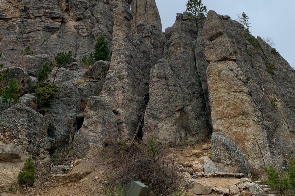 From Rapid City: Custer State Park Private Safari and Hiking - An In-Depth Look at the Custer State Park Private Safari and Hiking Tour