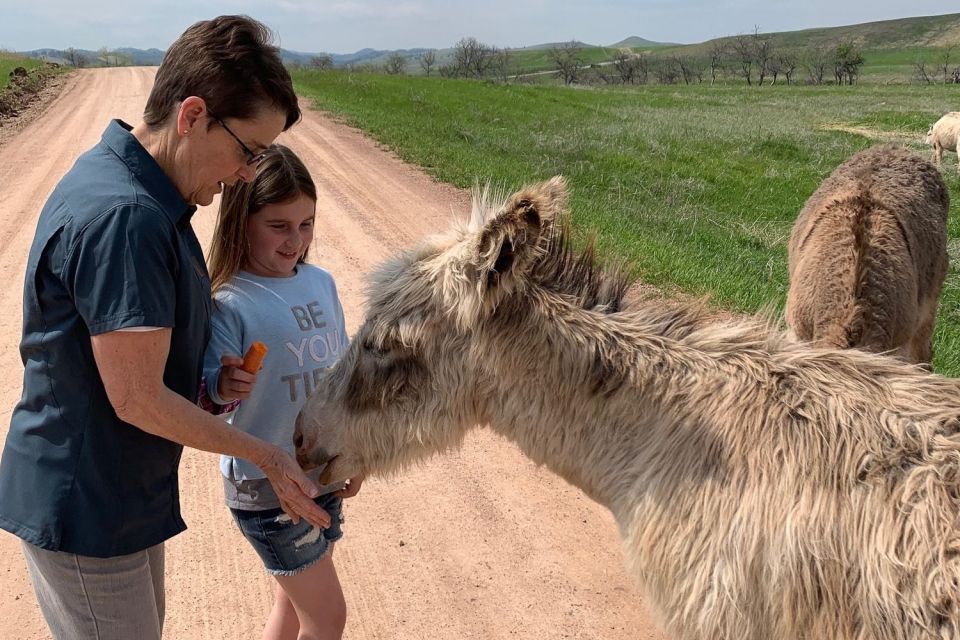 From Rapid City: Custer State Park Private Safari and Hiking - From Rapid City: Custer State Park Private Safari and Hiking