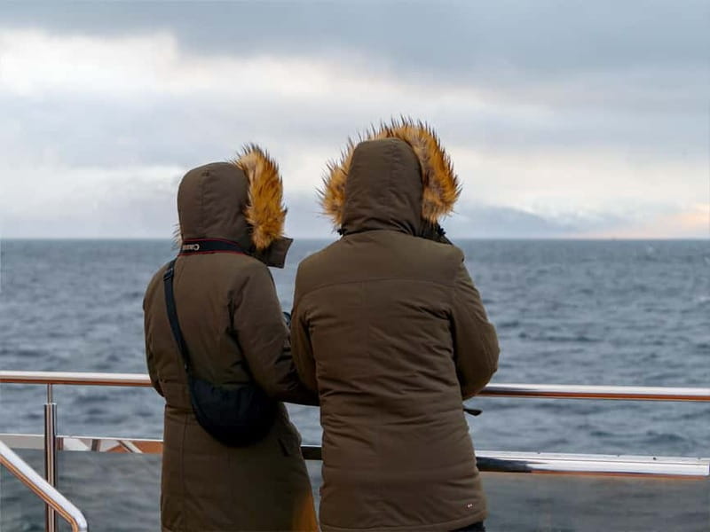 Tromsø: Whale Watching on hybrid boat with scenic bustrip - A Practical Guide to Tromsø’s Whale Watching Tour