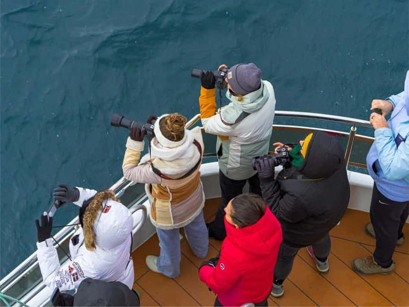 Tromsø: Whale Watching on hybrid boat with scenic bustrip - Final Thoughts