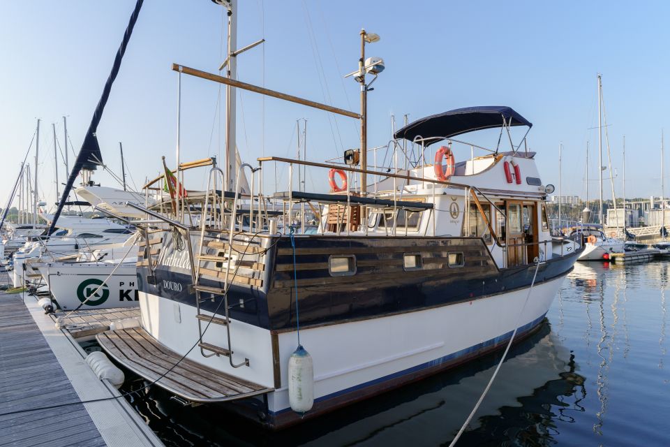 Douro River: Party Boat Tour - Key Points