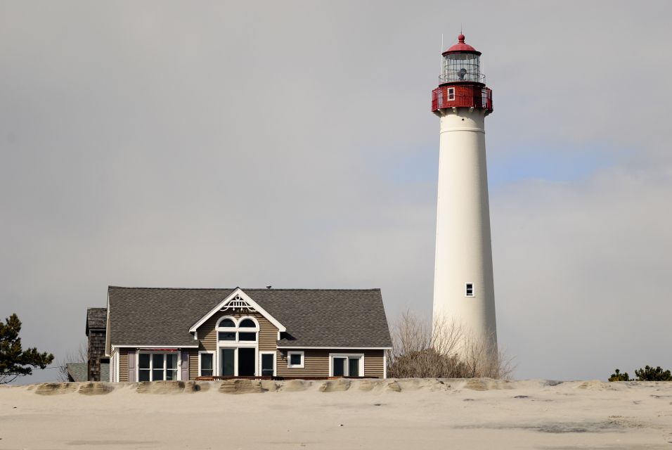 Cape May: 2-Hour Dolphin Watching Cruise - A Typical Day on the Water: What to Expect
