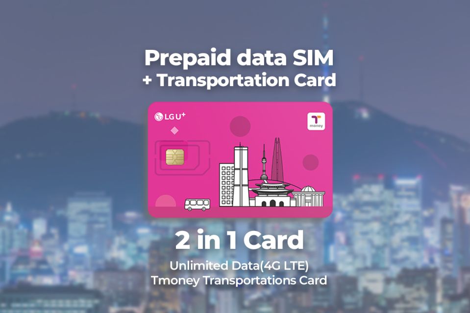 Incheon Airport: Traveler SIM & T-money Transportation Card - Why You’ll Love This Experience