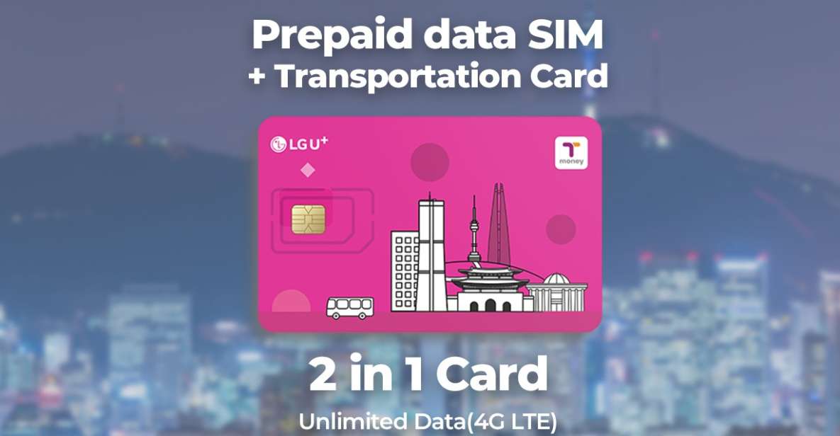 Incheon Airport: Traveler SIM & T-money Transportation Card - Key Points