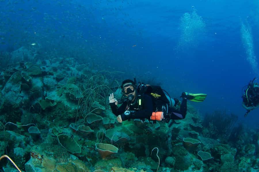 Koh Kood: 3-Day PADI Open Water SCUBA Diving Course - Why This Tour Stands Out