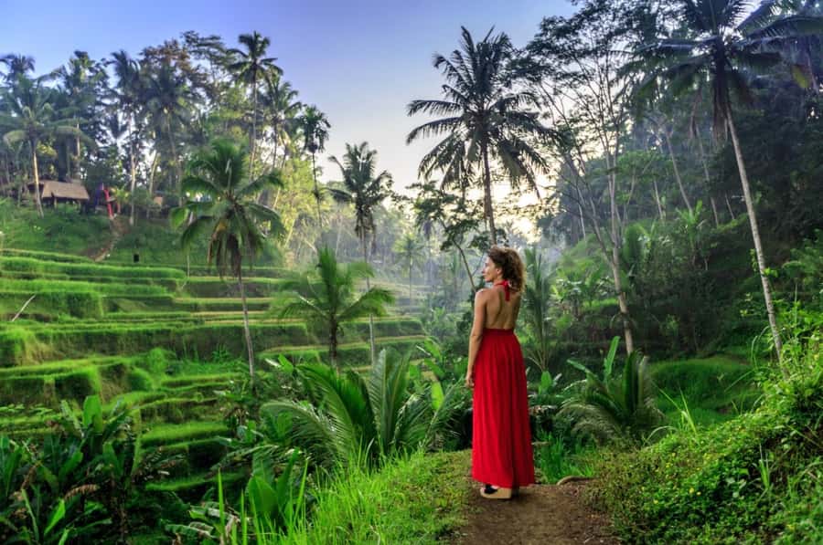 Ubud: Monkey Forest Sanctuary & Jungle Swing Tour - Exploring the Ubud Monkey Forest Sanctuary