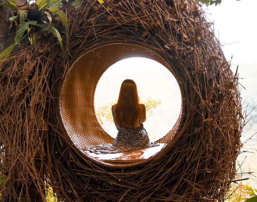 Ubud: Monkey Forest Sanctuary & Jungle Swing Tour - The Option to Relax and Personalize