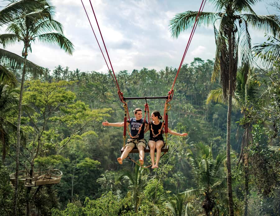 Ubud: Monkey Forest Sanctuary & Jungle Swing Tour - What Tour Reviewers Say