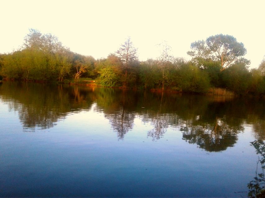 Oxford: Chauffeured Punting River with Optional Walking Tour - The Sum Up